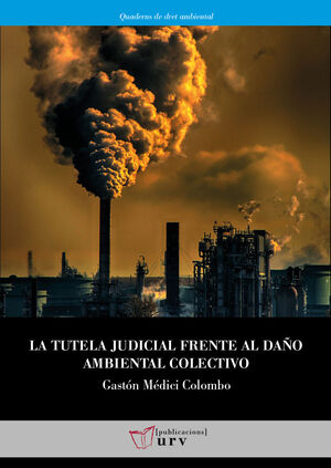 LA TUTELA JUDICIAL FRENTE AL DAO AMBIENTAL COLECTIVO